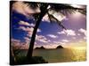 Palm Trees on the Beach at Sunset, Lanikai, U.S.A.-Ann Cecil-Stretched Canvas