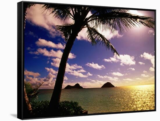 Palm Trees on the Beach at Sunset, Lanikai, U.S.A.-Ann Cecil-Framed Stretched Canvas