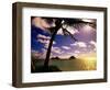 Palm Trees on the Beach at Sunset, Lanikai, U.S.A.-Ann Cecil-Framed Photographic Print