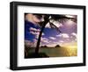 Palm Trees on the Beach at Sunset, Lanikai, U.S.A.-Ann Cecil-Framed Photographic Print