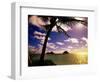 Palm Trees on the Beach at Sunset, Lanikai, U.S.A.-Ann Cecil-Framed Photographic Print