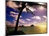 Palm Trees on the Beach at Sunset, Lanikai, U.S.A.-Ann Cecil-Mounted Photographic Print