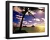 Palm Trees on the Beach at Sunset, Lanikai, U.S.A.-Ann Cecil-Framed Photographic Print