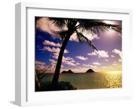 Palm Trees on the Beach at Sunset, Lanikai, U.S.A.-Ann Cecil-Framed Photographic Print