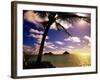 Palm Trees on the Beach at Sunset, Lanikai, U.S.A.-Ann Cecil-Framed Photographic Print