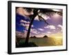 Palm Trees on the Beach at Sunset, Lanikai, U.S.A.-Ann Cecil-Framed Photographic Print