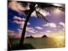 Palm Trees on the Beach at Sunset, Lanikai, U.S.A.-Ann Cecil-Mounted Photographic Print