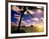 Palm Trees on the Beach at Sunset, Lanikai, U.S.A.-Ann Cecil-Framed Photographic Print