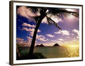 Palm Trees on the Beach at Sunset, Lanikai, U.S.A.-Ann Cecil-Framed Photographic Print