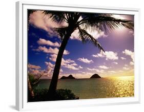 Palm Trees on the Beach at Sunset, Lanikai, U.S.A.-Ann Cecil-Framed Photographic Print