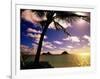 Palm Trees on the Beach at Sunset, Lanikai, U.S.A.-Ann Cecil-Framed Photographic Print