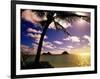 Palm Trees on the Beach at Sunset, Lanikai, U.S.A.-Ann Cecil-Framed Photographic Print