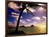 Palm Trees on the Beach at Sunset, Lanikai, U.S.A.-Ann Cecil-Framed Photographic Print