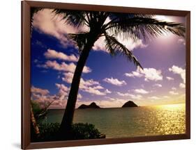 Palm Trees on the Beach at Sunset, Lanikai, U.S.A.-Ann Cecil-Framed Photographic Print