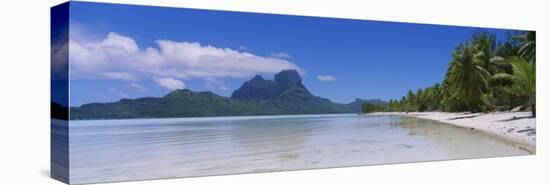 Palm Trees on the Beach, Bora Bora, French Polynesia-null-Stretched Canvas