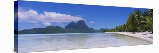 Palm Trees on the Beach, Bora Bora, French Polynesia-null-Stretched Canvas