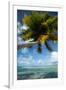 Palm Trees on the Beach, Bora Bora, Society Islands, French Polynesia-null-Framed Photographic Print