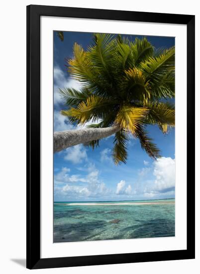 Palm Trees on the Beach, Bora Bora, Society Islands, French Polynesia-null-Framed Photographic Print