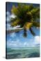 Palm Trees on the Beach, Bora Bora, Society Islands, French Polynesia-null-Stretched Canvas