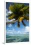 Palm Trees on the Beach, Bora Bora, Society Islands, French Polynesia-null-Framed Photographic Print