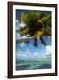 Palm Trees on the Beach, Bora Bora, Society Islands, French Polynesia-null-Framed Photographic Print