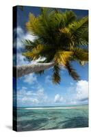 Palm Trees on the Beach, Bora Bora, Society Islands, French Polynesia-null-Stretched Canvas