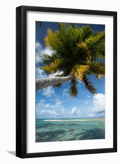 Palm Trees on the Beach, Bora Bora, Society Islands, French Polynesia-null-Framed Photographic Print