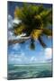 Palm Trees on the Beach, Bora Bora, Society Islands, French Polynesia-null-Mounted Photographic Print