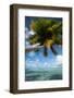 Palm Trees on the Beach, Bora Bora, Society Islands, French Polynesia-null-Framed Photographic Print