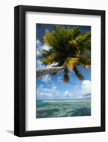 Palm Trees on the Beach, Bora Bora, Society Islands, French Polynesia-null-Framed Photographic Print