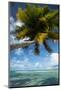 Palm Trees on the Beach, Bora Bora, Society Islands, French Polynesia-null-Mounted Photographic Print