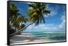 Palm Trees on the Beach, Bora Bora, Society Islands, French Polynesia-null-Framed Stretched Canvas