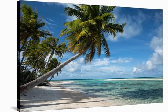 Palm Trees on the Beach, Bora Bora, Society Islands, French Polynesia-null-Stretched Canvas