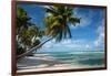 Palm Trees on the Beach, Bora Bora, Society Islands, French Polynesia-null-Framed Photographic Print