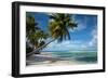 Palm Trees on the Beach, Bora Bora, Society Islands, French Polynesia-null-Framed Photographic Print