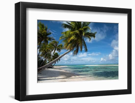 Palm Trees on the Beach, Bora Bora, Society Islands, French Polynesia-null-Framed Photographic Print