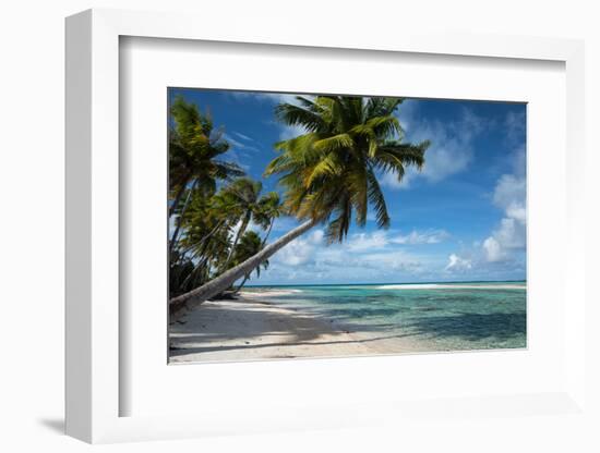 Palm Trees on the Beach, Bora Bora, Society Islands, French Polynesia-null-Framed Photographic Print