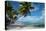 Palm Trees on the Beach, Bora Bora, Society Islands, French Polynesia-null-Stretched Canvas