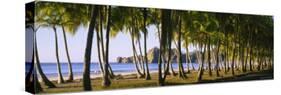 Palm Trees on the Beach, Carrillo Beach, Nicoya Peninsula, Guanacaste Province, Costa Rica-null-Stretched Canvas