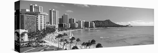 Palm Trees on the Beach, Diamond Head, Waikiki Beach, Oahu, Honolulu, Hawaii, USA-null-Stretched Canvas