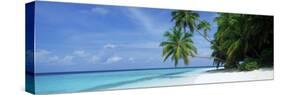 Palm Trees on the Beach, Fihalhohi Island, Maldives-null-Stretched Canvas
