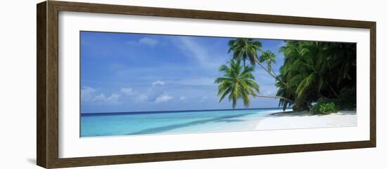 Palm Trees on the Beach, Fihalhohi Island, Maldives-null-Framed Photographic Print