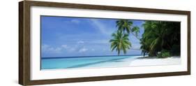 Palm Trees on the Beach, Fihalhohi Island, Maldives-null-Framed Photographic Print