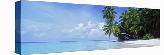 Palm Trees on the Beach, Fihalhohi Island, Maldives-null-Stretched Canvas