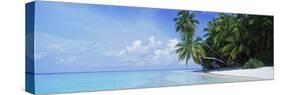 Palm Trees on the Beach, Fihalhohi Island, Maldives-null-Stretched Canvas