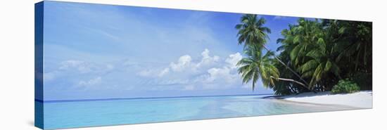 Palm Trees on the Beach, Fihalhohi Island, Maldives-null-Stretched Canvas