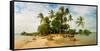 Palm Trees on the Beach in Morro De Sao Paulo, Tinhare, Cairu, Bahia, Brazil-null-Framed Stretched Canvas