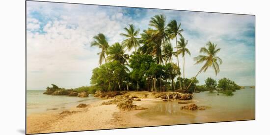 Palm Trees on the Beach in Morro De Sao Paulo, Tinhare, Cairu, Bahia, Brazil-null-Mounted Photographic Print