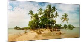 Palm Trees on the Beach in Morro De Sao Paulo, Tinhare, Cairu, Bahia, Brazil-null-Mounted Photographic Print