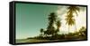 Palm Trees on the Beach in Morro De Sao Paulo, Tinhare, Cairu, Bahia, Brazil-null-Framed Stretched Canvas